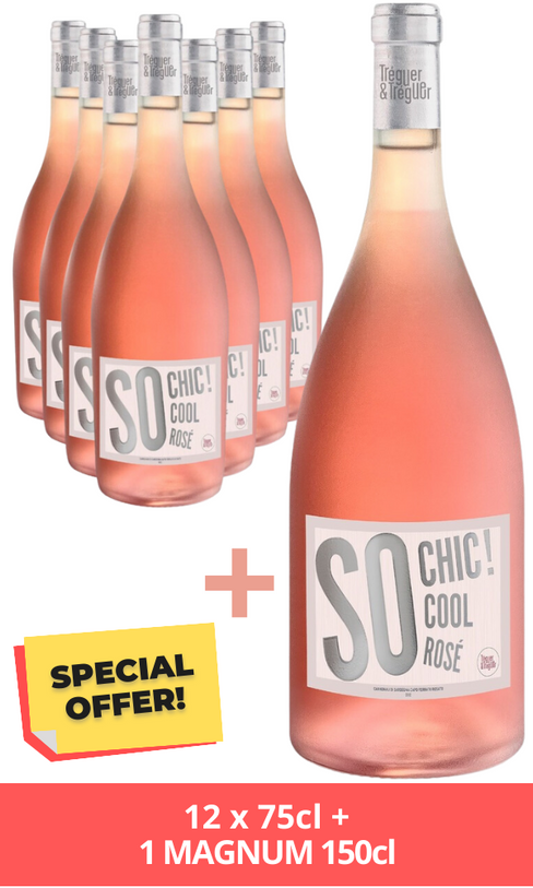 SO CHIC ! OFFERTA SPECIALE 12 BOTTIGLIE 75cl + 1 MAGNUM 150cl